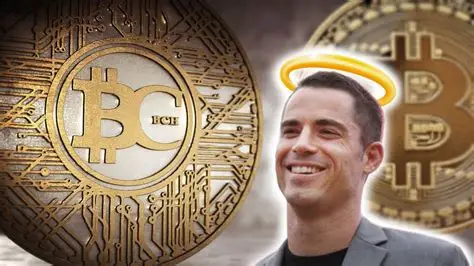 比特币现金（BCH）倡导者：Roger Ver
