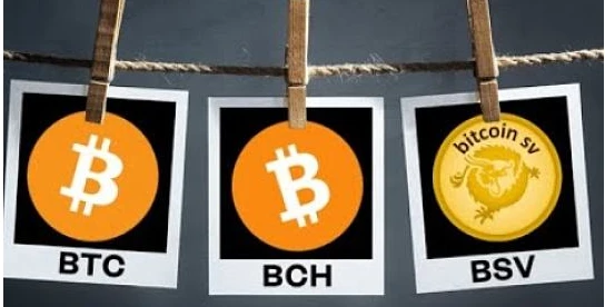 比特币SV与Zcash如何选择？核心差异与场景分析
